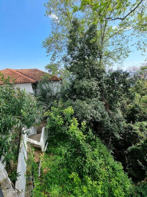 Kapsala'S Family Home Agios Ioannis  Ngoại thất bức ảnh